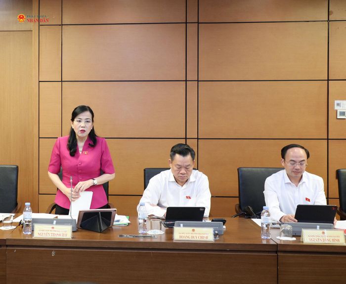 Chủ nhiệm Ủy ban Khoa học, Công nghệ và Môi trường Nguyễn Thanh Hải - ĐBQH tỉnh Thái Nguyên phát biểu tại tổ. Ảnh: Khánh Duy