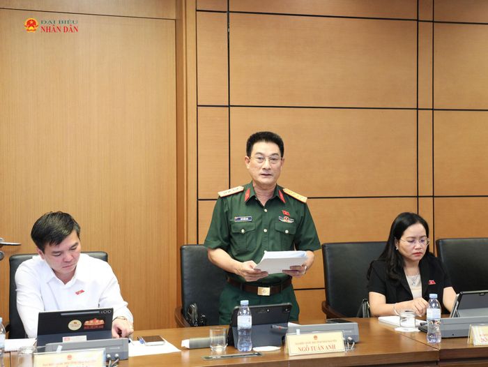 ĐBQH Ngô Tuấn Anh (Thái Nguyên) phát biểu. Ảnh: Khánh Duy