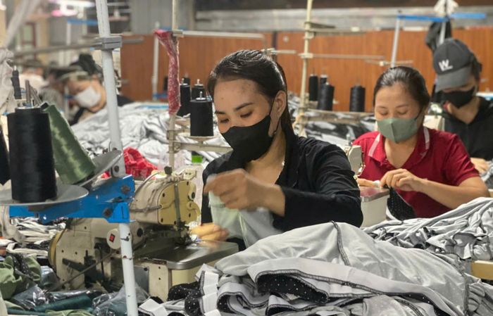 Nhiều lao động trẻ đã chọn công việc gần nhà thay vì phải ly hương