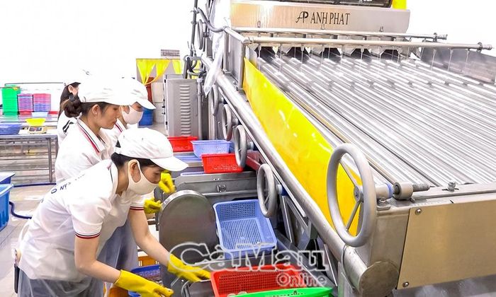 Công ty Thủy sản Hồng Duyên Nhân đầu tư và ứng dụng các thiết bị, máy móc hiện đại vào quy trình sản xuất, nhằm nâng cao năng suất, chất lượng sản phẩm, đáp ứng yêu cầu thị trường.