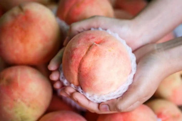 Nên ăn đào sau khi uống thuốc khoảng một giờ