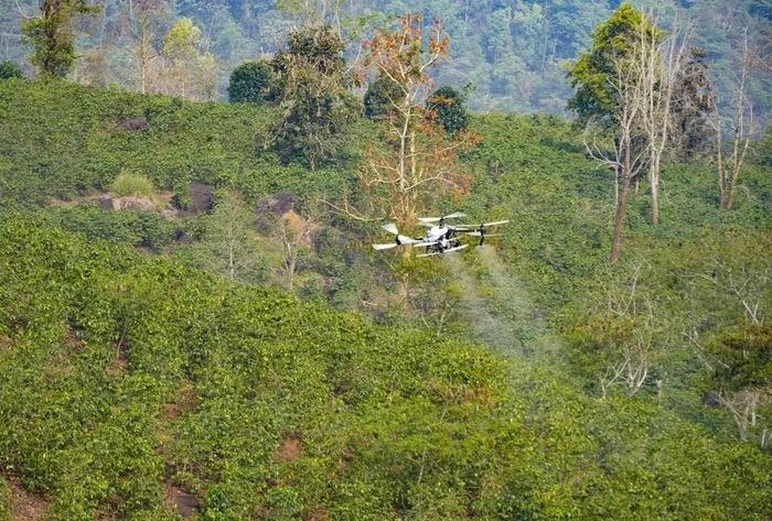 UAV do FPT và Trường Thịnh Drone thử nghiệm phun thuốc tại hồ Ảng Cang, bản Mánh Đanh, xã Mường Ảng, tỉnh Điện Biên. Ảnh: TTXVN.