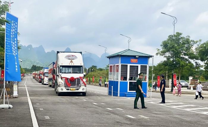  Các xe vận chuyển hàng hóa thông quan qua Lối thông quan cầu Tà Lùng II (Việt Nam) – Thủy Khẩu (Trung Quốc). 
