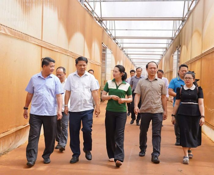  Đoàn công tác khảo sát Dự án nông nghiệp công nghệ cao Cư Bao. 