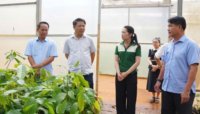  Đoàn công tác tham quan khu vực triển khai Dự án Cư Bao.