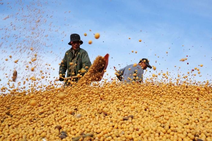 Thị trường cũng đánh giá hoạt động mua hàng lần này mang ý nghĩa tích cực về thương mại, song chưa đủ để khẳng định Trung Quốc sẽ quay trở lại mức nhập khẩu lớn như giai đoạn trước