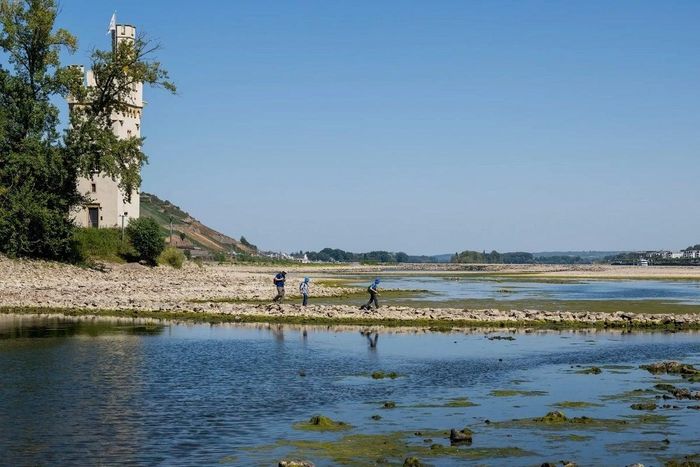 Du khách đi bộ qua sông Rhine gần Bingen, Đức, ngày 29/7. (Ảnh: Getty Images)
