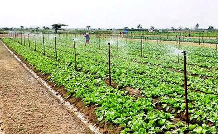 Hệ thống tưới nước tự động trong sản xuất rau an toàn tại xã Mê Linh. Ảnh: Trọng Tùng