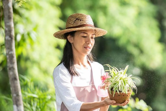 Sau tuổi 40, không chỉ thu nhập ngày càng tăng, Nhân Mã còn xây dựng được nền tảng tài chính vững chắc để chăm lo cho gia đình. Ảnh minh họa