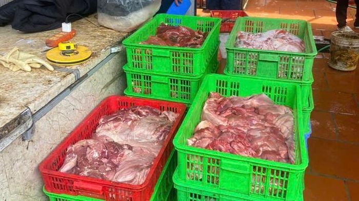 Đoàn kiểm tra đã lấy 9 mẫu để xét nghiệm. Kết quả của Trạm Chẩn đoán và Xét nghiệm I, Trung tâm Chẩn đoán và Xét nghiệm Thú y Trung ương I cho thấy có tới 7/9 mẫu dương tính với virus Dịch tả lợn châu Phi (ASF). 