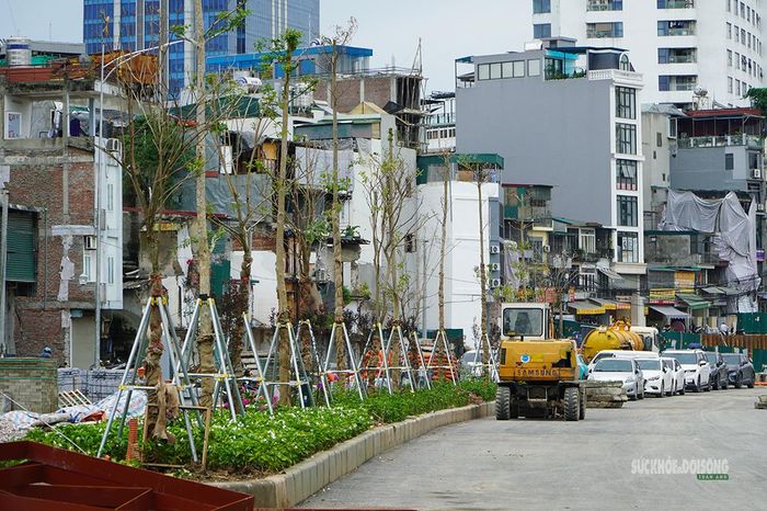 Cây xanh, hoa và dải phân cách trên một đoạn tuyến đã được hoàn thiện. Ảnh: T.Anh