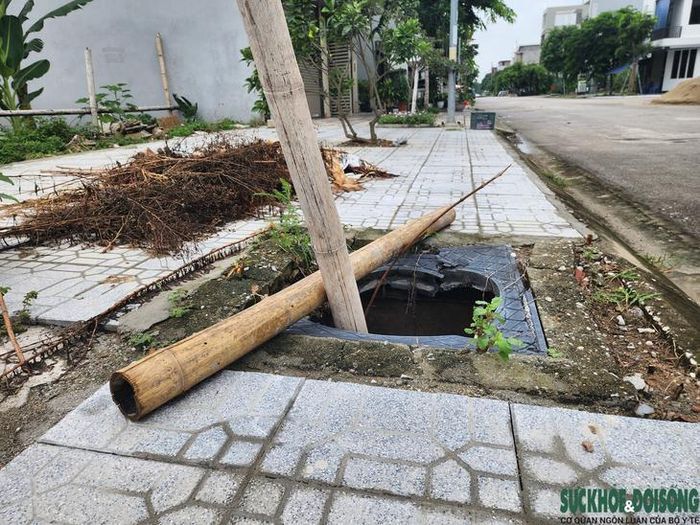 Người dân cắm cây tre, luồng cảnh báo. Ảnh: Ngọc Hưng.