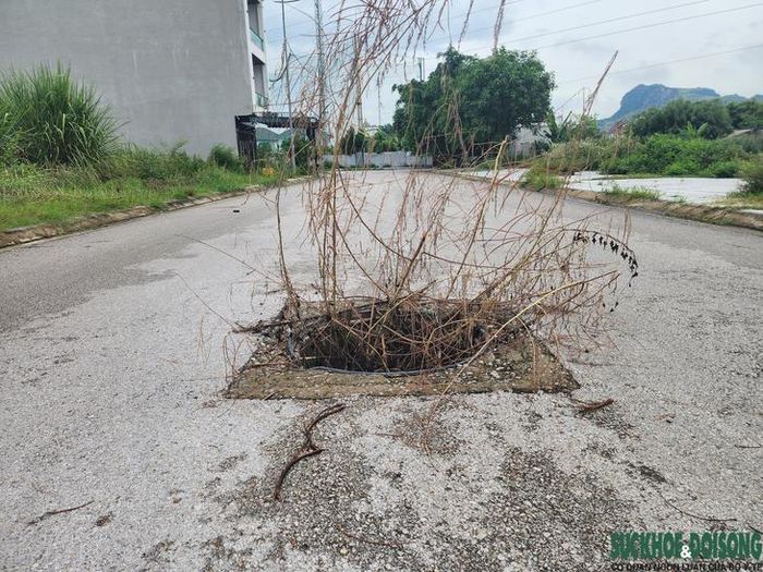 Trong khi chờ đơn vị thi công khắc phục, người dân đã tạm thời cắm cây để cảnh báo nguy hiểm. Ảnh: Ngọc Hưng.