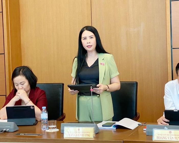 ĐBQH Trần Lan Phương. Ảnh: Lê Bảo
