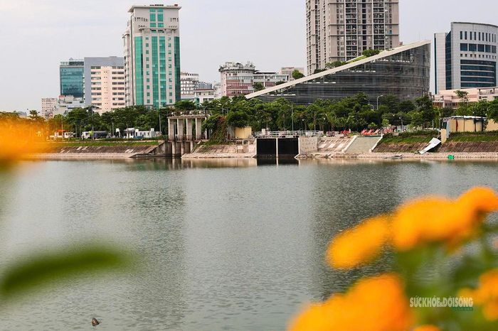 Hồ điều hòa tạo không gian thoáng đãng cho khu vực. Ảnh: T. Anh