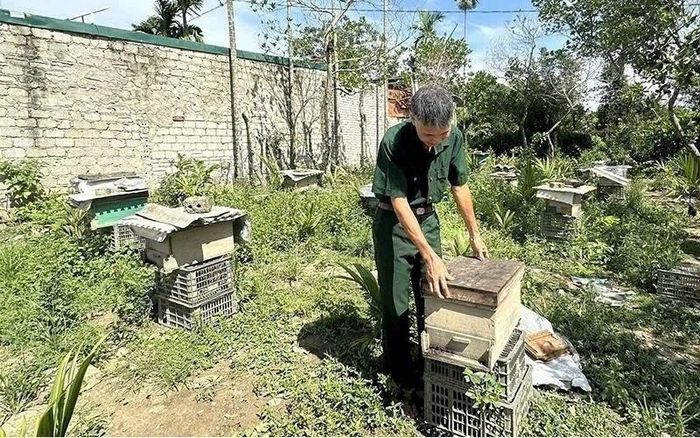 Mô hình trồng cây ăn quả, nuôi cá và bưởi bonsai giúp gia đình CCB Nguyễn Hữu Thạo thu lãi 300–400 triệu đồng mỗi năm
