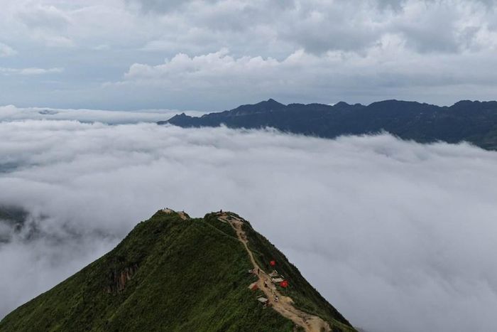 Tà Xùa nổi tiếng với những biển mây dày đặc xuất hiện vào sáng sớm. Ảnh: Minh Phượng