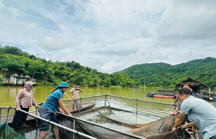 Đơn vị chuyên môn đã đến hiện trường lấy mẫu xét nghiệm nhằm tìm rõ nguyên nhân khiến cá chết hàng loạt. Ảnh: Khánh Hiền