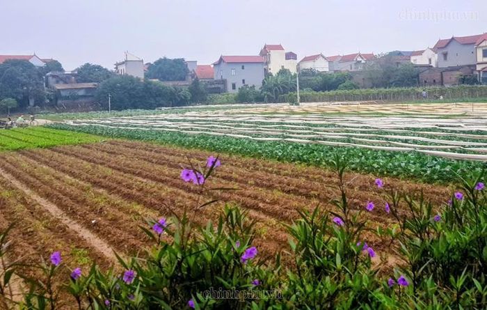 Hà Nội đẩy nhanh tiến độ hoàn thiện cơ sở dữ liệu đất đai theo chỉ đạo của Chính phủ - Ảnh: VGP/Thiện Tâm