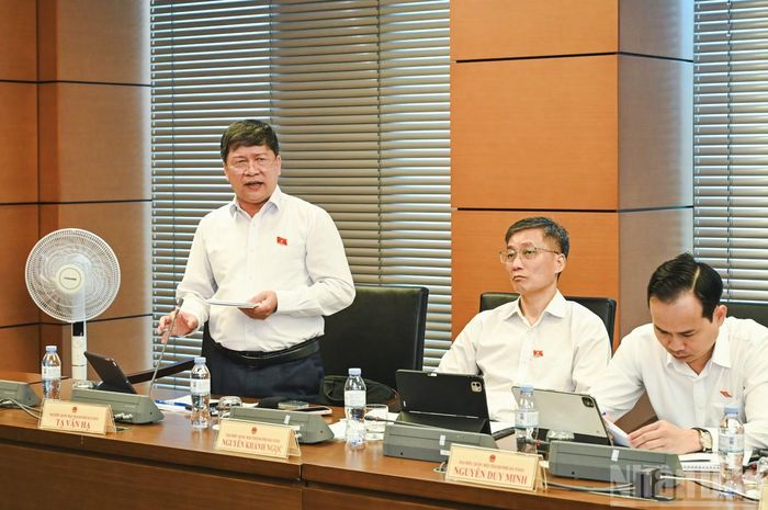 Đại biểu Quốc hội thành phố Đà Nẵng Tạ Văn Hạ phát biểu thảo luận tại tổ.