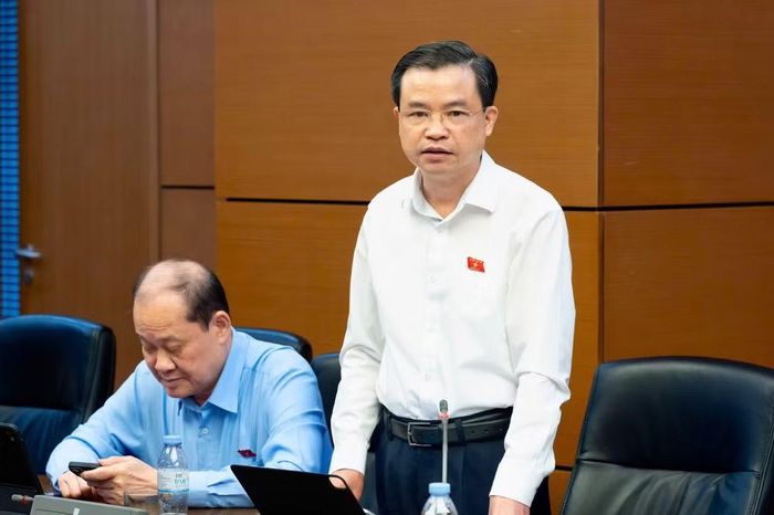 Đại biểu Bế Thanh Tịnh (Đoàn Cao Bằng) phát biểu tại tổ. (Ảnh: QH)