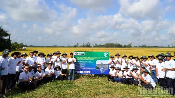 Cần Thơ đang từng bước chuyển trọng tâm từ những mô hình trình diễn sang xây dựng các vùng nguyên liệu quy mô lớn.