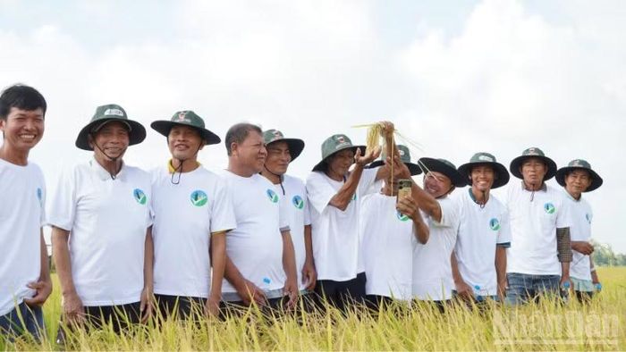 Đại biểu và nông dân tham quan mô hình sản xuất lúa tại Hợp tác xã Kiến Thành, xã Vị Thanh 1, thành phố Cần Thơ.