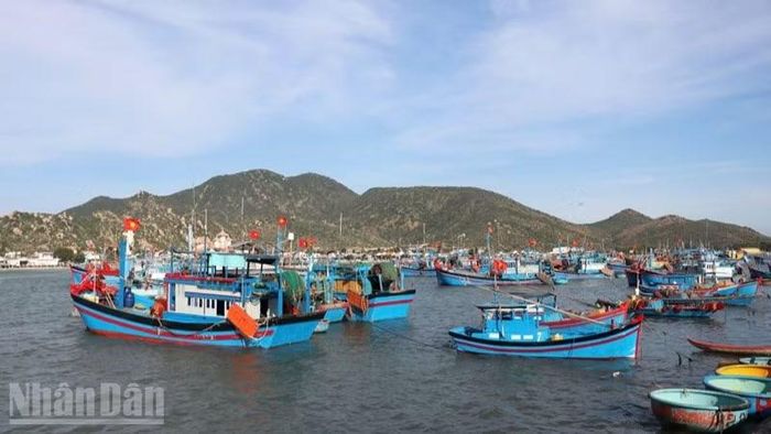 Việc xử lý các tàu cá không báo cáo vị trí khi neo đậu hoặc ngừng khai thác dài ngày cũng còn nhiều vướng mắc.