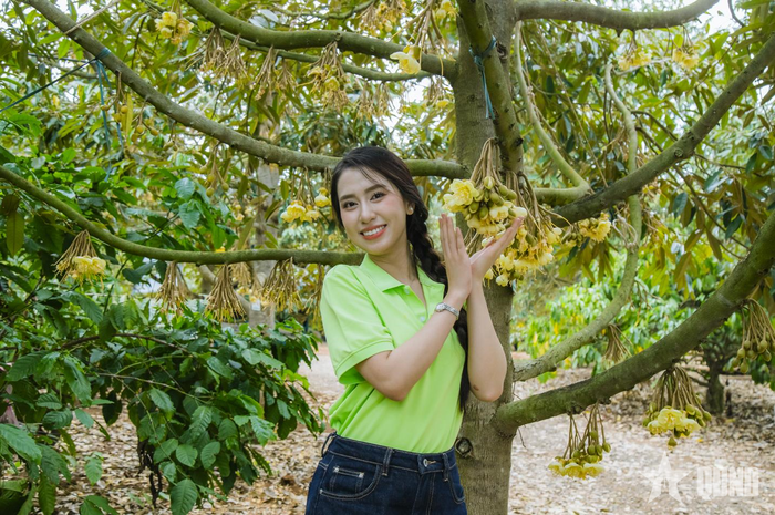 Đắk Lắk mời KOL, KOC từ Trung Quốc, Thái Lan và Việt Nam livestream quảng bá, giới thiệu sầu riêng.