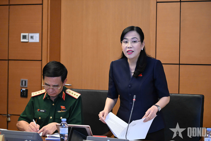 Đại biểu Nguyễn Thanh Hải phát biểu. Ảnh: TRỌNG HẢI 