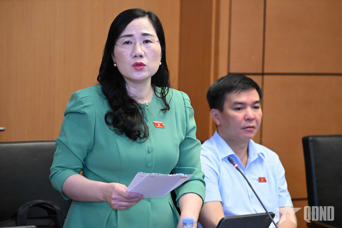 Đại biểu Nguyễn Thị Thủy phát biểu. 