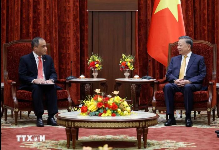 Tổng Bí thư, Chủ tịch nước Tô Lâm và Đại sứ Philippines Francisco Noel R. Fernandez III. Ảnh: TTXVN 