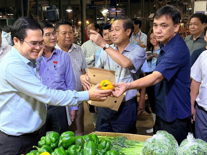 Thường trực HĐND TPHCM khảo sát ATTP tại chợ đầu mối Bình Điền tối 4-8. Ảnh: HOÀNG HÙNG