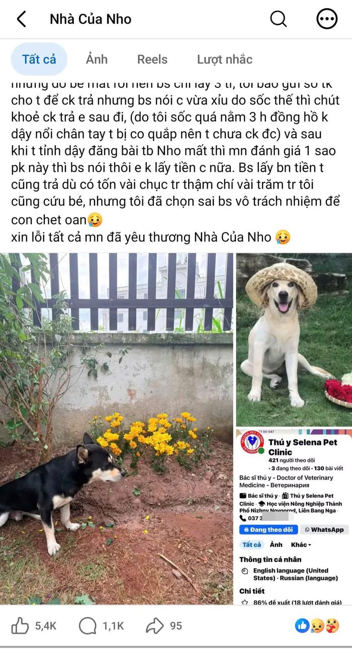 Đoạn bài viết của chủ thú cưng chia sẻ trên mạng xã hội Facebook nhận được nhiều lượt like, chia sẻ và bình luận. (Ảnh chụp màn hình).