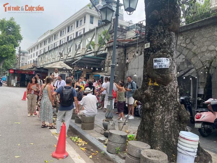 Đồ án mới mở ra kỳ vọng biến toàn bộ 131 vòm đá thành không gian sống động, hiện đại nhưng giàu giá trị lịch sử.
