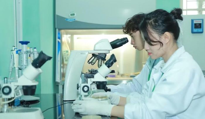 Sinh viên Học viện Nông nghiệp Việt Nam.