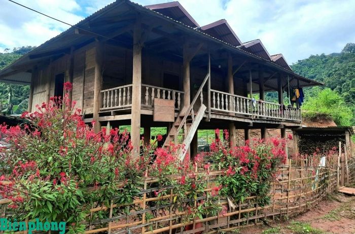 Hoa mào gà được trồng trước cửa mỗi ngôi nhà người Cống ở bản Lả Chà, xã Mường Chà, tỉnh Điện Biên. Ảnh: Minh Hà