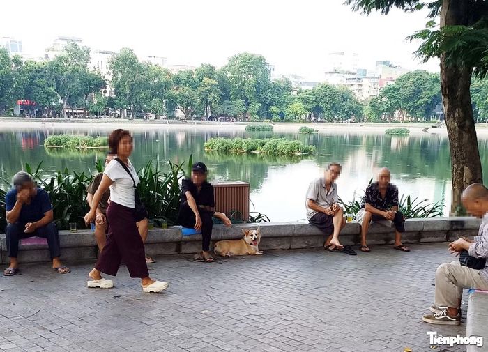 Một con chó thả rông tại khu vực hồ Thiền Quang.