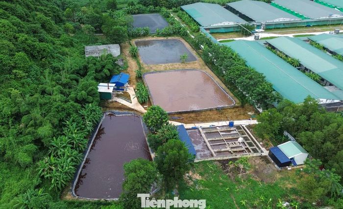 Khu thu gom, xử lý nước thải trong trại lợn của Công ty TNHH chăn nuôi Bình Sơn .