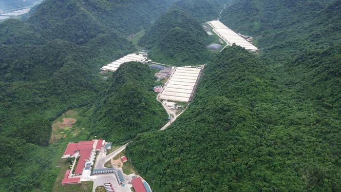 Một góc trang trại lợn của Công ty TNHH Dabaco Thanh Hóa ở xã Thạch Quảng.