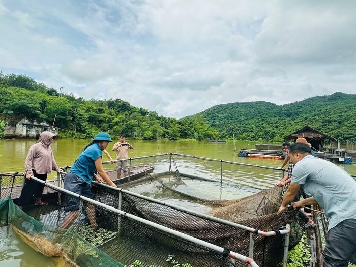 Ngày 1/8, đơn vị chuyên môn đã đến hiện trường lấy mẫu xét nghiệm nhằm tìm rõ nguyên nhân khiến cá chết hàng loạt. (Ảnh: Khánh Hiền).