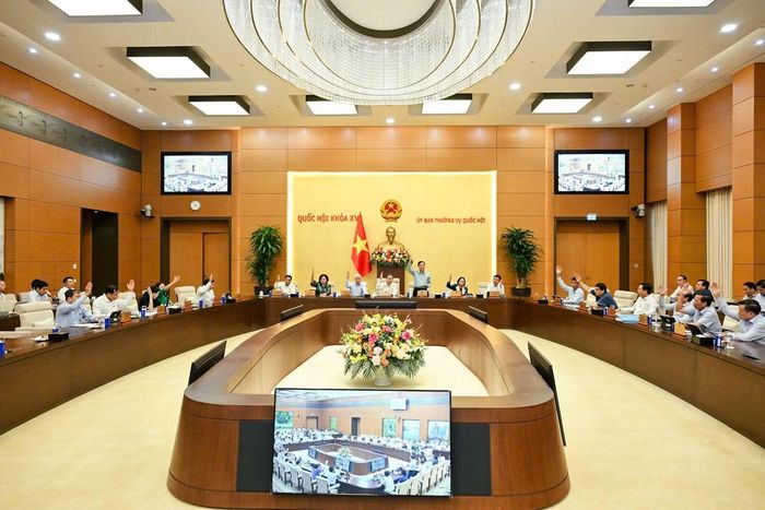  Các đại biểu tại phiên họp Ủy ban Thường vụ Quốc hội. (Ảnh: Như Ý) 