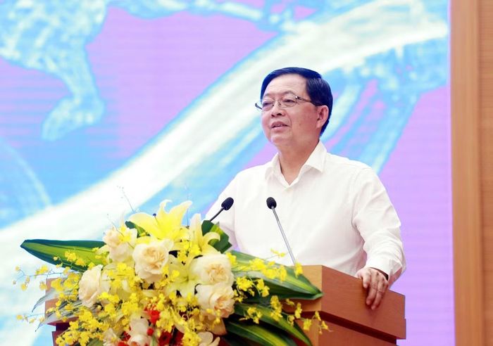 Phó Thủ tướng Chính phủ Hồ Quốc Dũng phát biểu