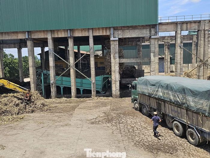 Khu vực sản xuất của Công ty Cổ phần Mía đường 333.