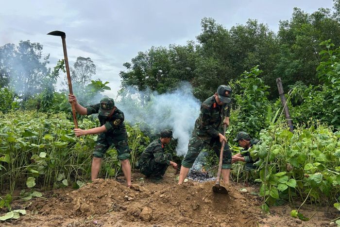 Lực lượng tìm kiếm dọn dẹp cây cối, hoa màu, mở rộng phạm vi khai quật nhằm xác định vị trí các hài cốt liệt sĩ.
