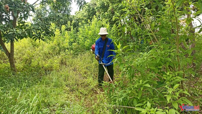 Ngoài dọn dẹp những công trình công cộng, anh Long còn giúp đỡ những gia đình khó khăn, neo đơn