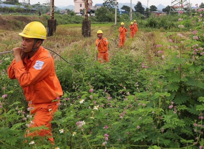 Đầu tư kéo điện lưới quốc gia về các thôn bản đặc biệt khó khăn, địa hình chia cắt là bước tiến rất lớn trên lộ trình điện khí hóa nông thôn vùng đồng bào DTTS và miền núi. Ảnh: Điện lực Chợ Đồn, Thái Nguyên.