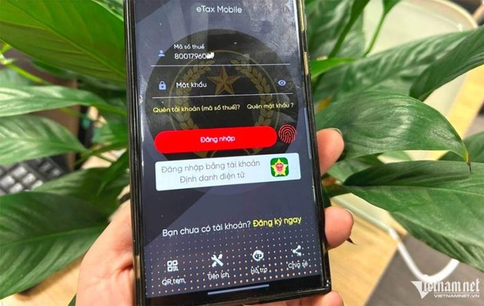 Hướng dẫn hộ kinh doanh nộp thuế trên ứng dụng eTax Mobile. Ảnh: Nguyễn Lê