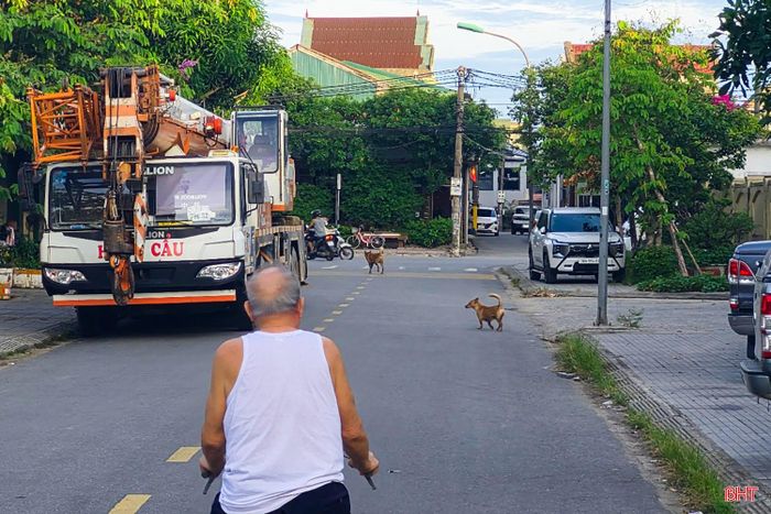 Đại diện Công an phường Thành Sen cho biết, thời gian tới đơn vị sẽ tiếp tục phối hợp với UBND phường Thành Sen để kiểm tra, nhắc nhở và xử lý các trường hợp không chấp hành các quy định về quản lý vật nuôi.