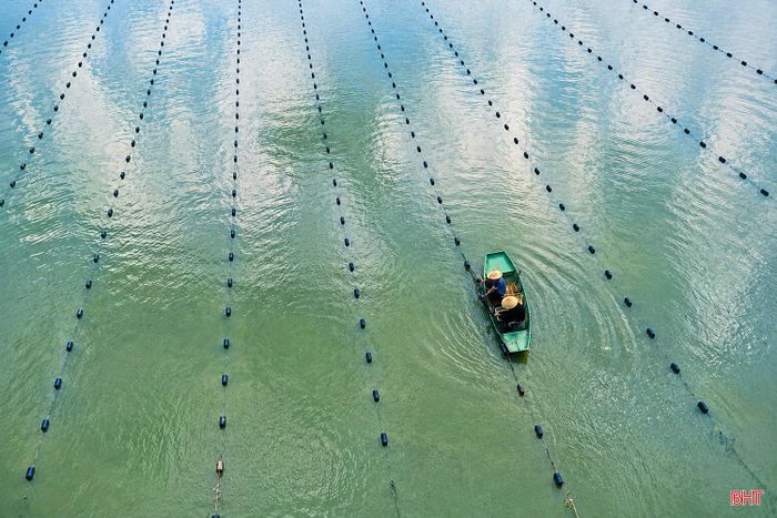Theo ông Hồ Phi Thủy - Giám đốc Công ty Ngọc trai Quê Choa, thời gian tới, doanh nghiệp sẽ tiếp tục theo dõi sự phát triển của trai, chất lượng sản phẩm ngọc sau chế tác; quan tâm, đầu tư mở rộng diện tích, qua đó tạo thêm việc làm ổn định cho người dân tại địa phương.